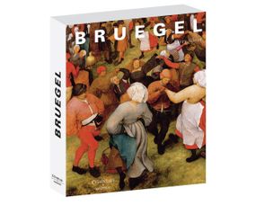 Пітер Брейгель Старший книга з картинами Bruegel. Larry Silver Мистецтво живопису книги для художників
