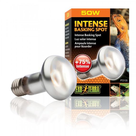 Рефлекторна лампа Exo Terra Intense Basking Spot для терраріумних тварин, денна, накалювання, 50 W, E27 (