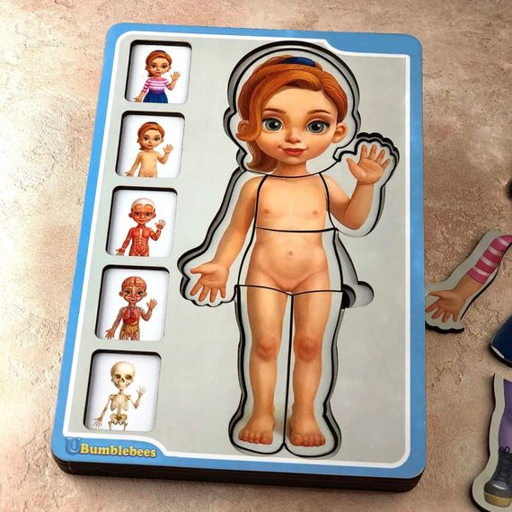 Дерев'яний пазл-вкладиш "Анатомія людини – дівчинка" Ubumblebees (ПСФ025) PSF025 будова тіла | Зображення 2