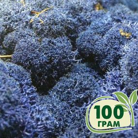 Стабілізований мох ягель Синій блакитний 100 грам