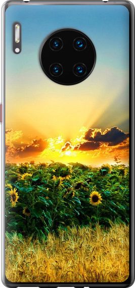 Чехол на Huawei Mate 30 Pro Украина "1601u-1796-17620"