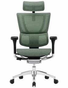 Кресло компьютерное MIRUS-IOO 2 (IOOE2-AB-HAM-5D-L) сетка Т-168-B6 Green
