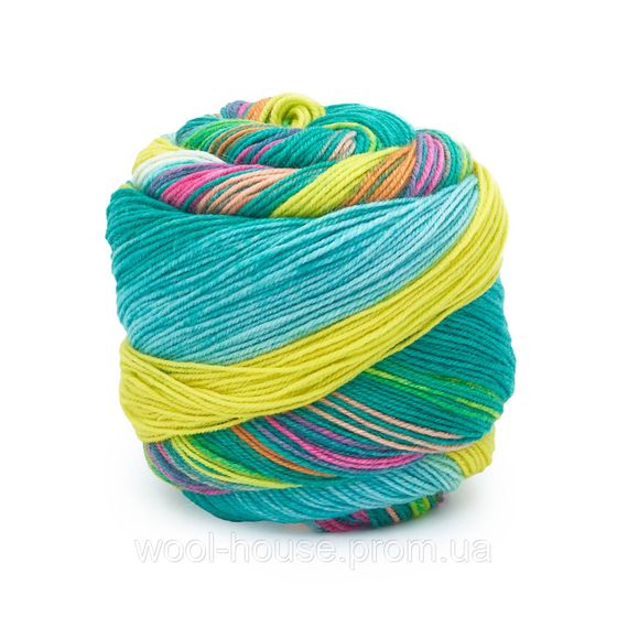 Шкарпеткова пряжа Laines du Nord Infinity Sock, 13 | Зображення 1