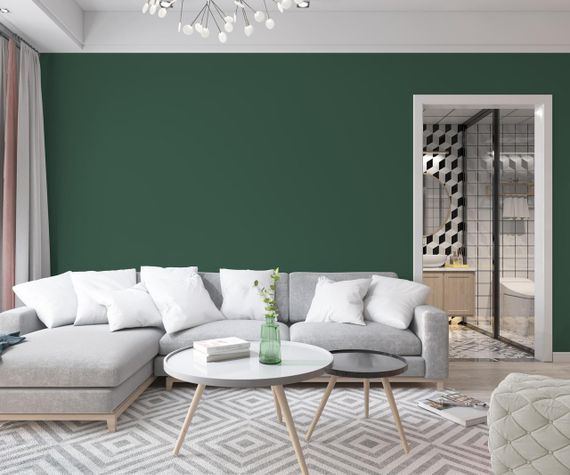 Краска Интерьерная Латексная Skyline 6020-G (C) Хвоя 10л | Зображення 2