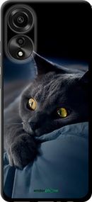 Чохол на Oppo A78 4G Димчастий кіт "825b-3142-2448"