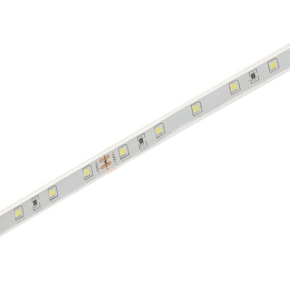 Светодиодная лента влагозащищенная холодный оттенок 24V 4W 2835 CW IP68 1m (BY-072/60) | Зображення 1