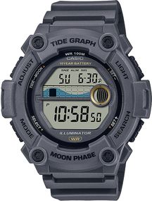 Годинник CASIO WS-1300H-8AVEF