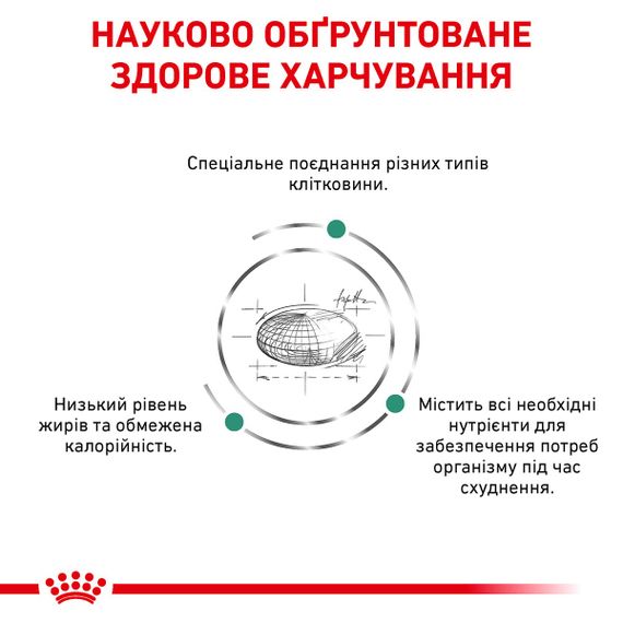 Сухий корм для котів з ожирінням Royal Canin Satiety Weight Management Feline, 3.5 кг | Зображення 2