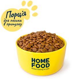 Порція корму для песика в притулку