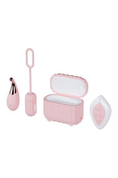 Набір вібраторів Blush Play With Me з пультом та кейсом, рожевий, 2 шт. Sex Aura