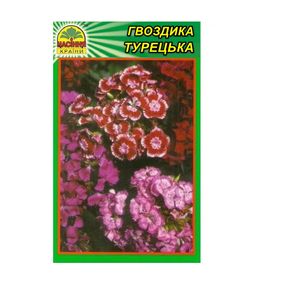 Насіння Гвоздика турецька 0,2 г (Насіння країни)