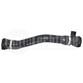 Патрубок радиатора нижний BMW 3 E46 N42/N46 01-05, AutoTechteile, 700 1709, 49255