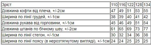 Костюм для хлопчика Носи своє 128 Блакитний (p-15270-174508) | Зображення 9
