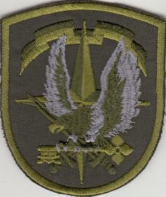 Разведка управление (редкий) Батальон охраны и обеспечения разведки (олива)