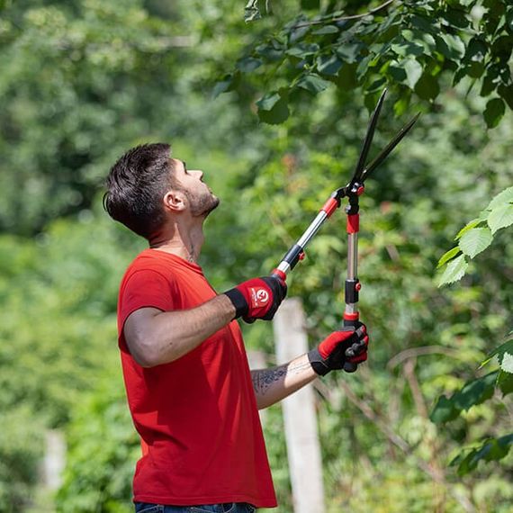 Ножиці для обрізання гілок з телескопічними ручками INTERTOOL FT-11171 | Зображення 9