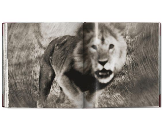 Книга альбом відомих фотографів про Африку фотографії Пітера Бірда Peter Beard. The End of the Game | Зображення 2