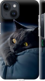 Чохол на iPhone 14 Димчастий кіт "825m-2648-2448"