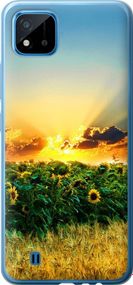 Чехол на Realme C11 2021 Украина "1601u-2485-17620"