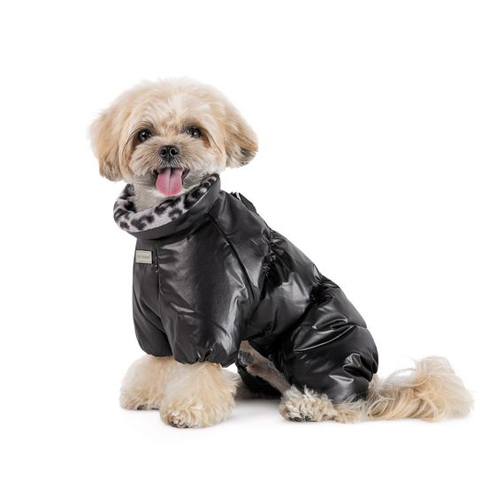 Комбінезон для собак Indigo Pet Fashion, ХS2 чорний | Зображення 1