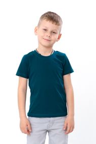 Футболка дитяча Носи своє 98 Сірий (p-3202-206141)