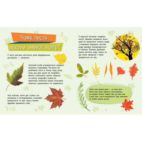 Обучающая книжка Почемучки "Растения" 875010 вопросы и ответы | Зображення 4