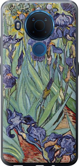 Чехол на Nokia 5.4 Винсент Ван Гог. Ирисы "161u-2279-17620"