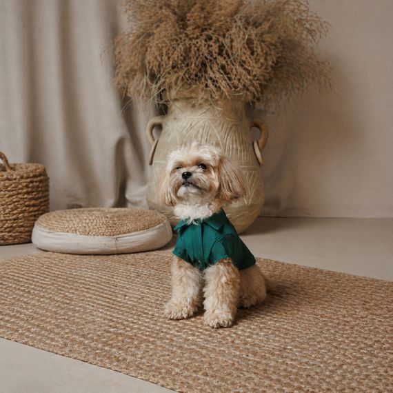 Сорочка Pet Fashion Seaman для собак XХS | Зображення 2