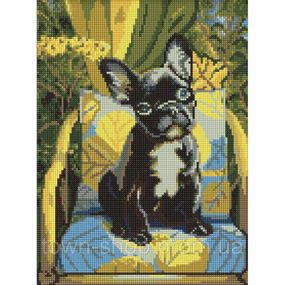 Алмазная мозаика "Комфорт с характером" AMO20095, 30х40 см