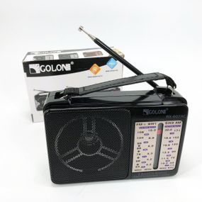 Плеєр мп3 з радіо фм GOLON RX-607 AC, Радіоприймач ретро AM FM, Радіоприймач з потужним прийомом WX-67