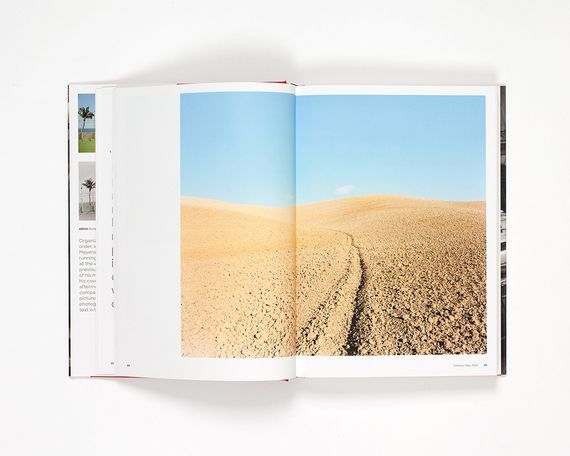 Лучшие фотографы мира книга Джоэл Мейеровиц Joel Meyerowitz: Where I Find Myself: A Lifetime Retrospective | Зображення 7