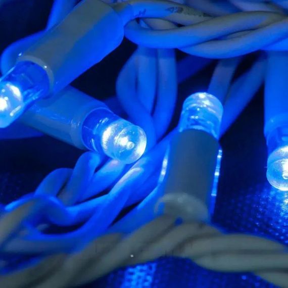 Гірлянда-сітка LED 2x2 м, 240 ламп, XPRO (234564313_431) | Зображення 7