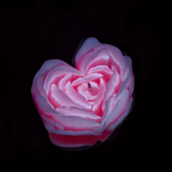 Свічка троянда люмінесцентна GlowKink 62 г, низькотемпературна, L, для БДСМ, персикова Sex Aura | Зображення 4
