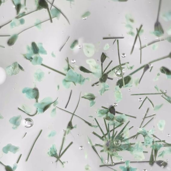 Гель з сухоцвітами Moon Full Flower Fairy Gel №FF02 5 мл