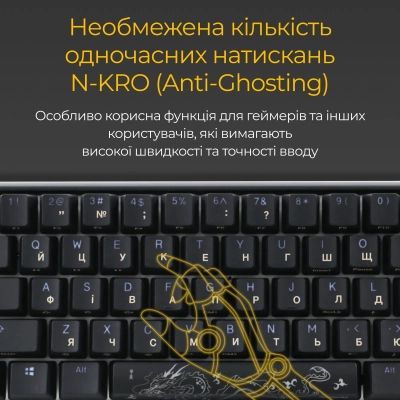 Клавиатура Ducky One 3 Mini Cherry MX Red RGB UA USB Black (DKON2161ST-RUAPXCLAWSC1) | Зображення 3