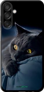 Чохол на Samsung Galaxy F15 Димчастий кіт "825b-3756-2448"