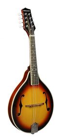 Мандоліна Richwood RMA-60-VS