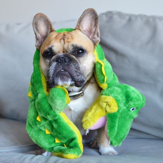 Іграшка для собак Outward Hound Squeaker Matz Gator, 76 см | Зображення 2