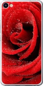 Чехол на Meizu U20 Красная роза "529u-416-17620"