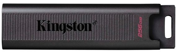 Flash Drive Kingston 256GB USB-C 3.2 Gen 1 DT Max (DTMAX/256GB)