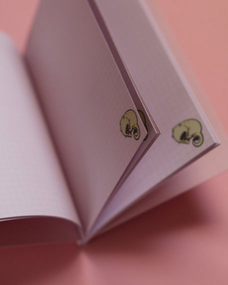 Блокнот 4Profi "Kitty note", light pink 40 арк. формат A5 900053 | Зображення 2