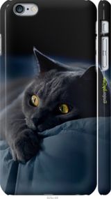 Чохол на iPhone 6s Plus Димчастий кіт "825c-91-2448"