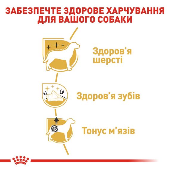 Сухий корм для собак породи пудель Royal Canin Poodle Adult, 1.5 кг | Зображення 4