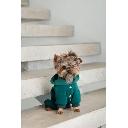 Костюм Pet Fashion Berry для собак размер L | Зображення 4