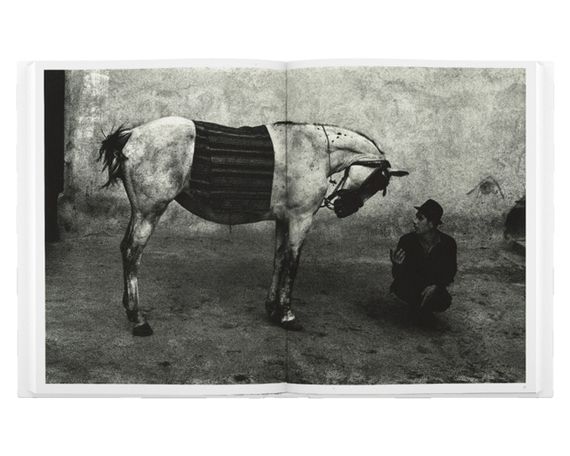 Книги відомих фотографів роботи Йозефа Куделки Josef Koudelka "Koudelka Gypsies" Найкращі фотографи світу | Зображення 5