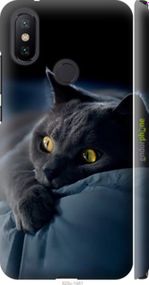 Чохол на Xiaomi Mi A2 Димчастий кіт "825m-1481-2448"