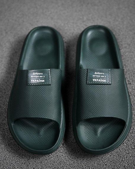 Тапки Доброго вечора oliva ДЛ7094