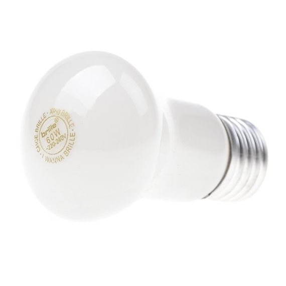 Лампа розжарювання декоративна 60W E27 WW E50 220V