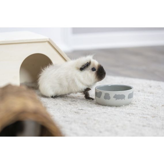 Миска Trixie для гризунів з принтом морська свинка керамічна 250 мл 11 см | Зображення 8