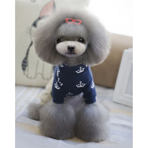 Костюм для собак Cheepet бежевые штаны, принт Короны на спинке, синий | Зображення 3