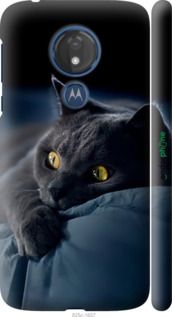 Чохол на Motorola Moto G7 Power Димчастий кіт "825m-1657-2448"